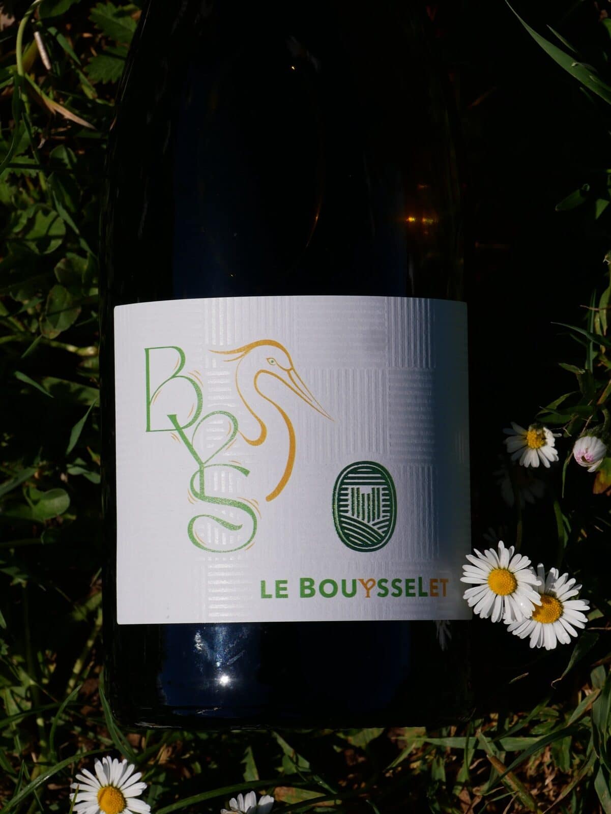 Nouvelle cuvée BYS LE BOUYSSELET 2024 - 100% Bouysselet - Château Bouissel